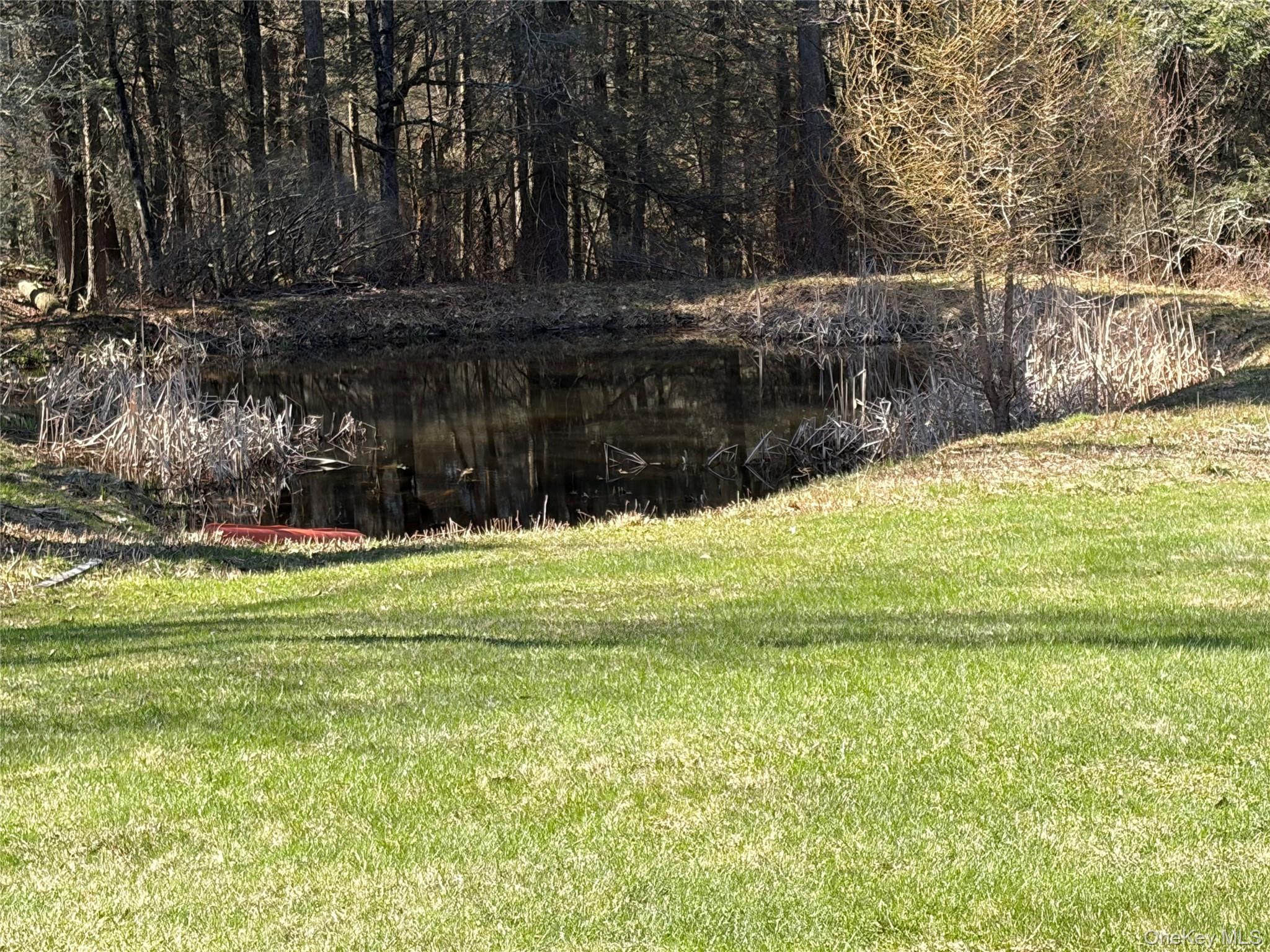 10 West Simmon Road Callicoon, NY 12723 - Photo 5 of 34