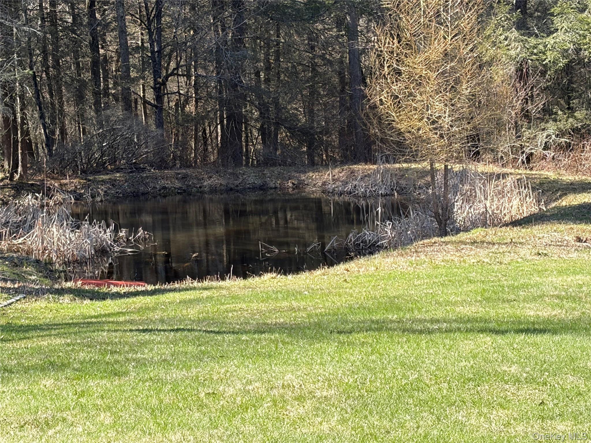 10 West Simmon Road Callicoon, NY 12723 - Photo 7 of 34