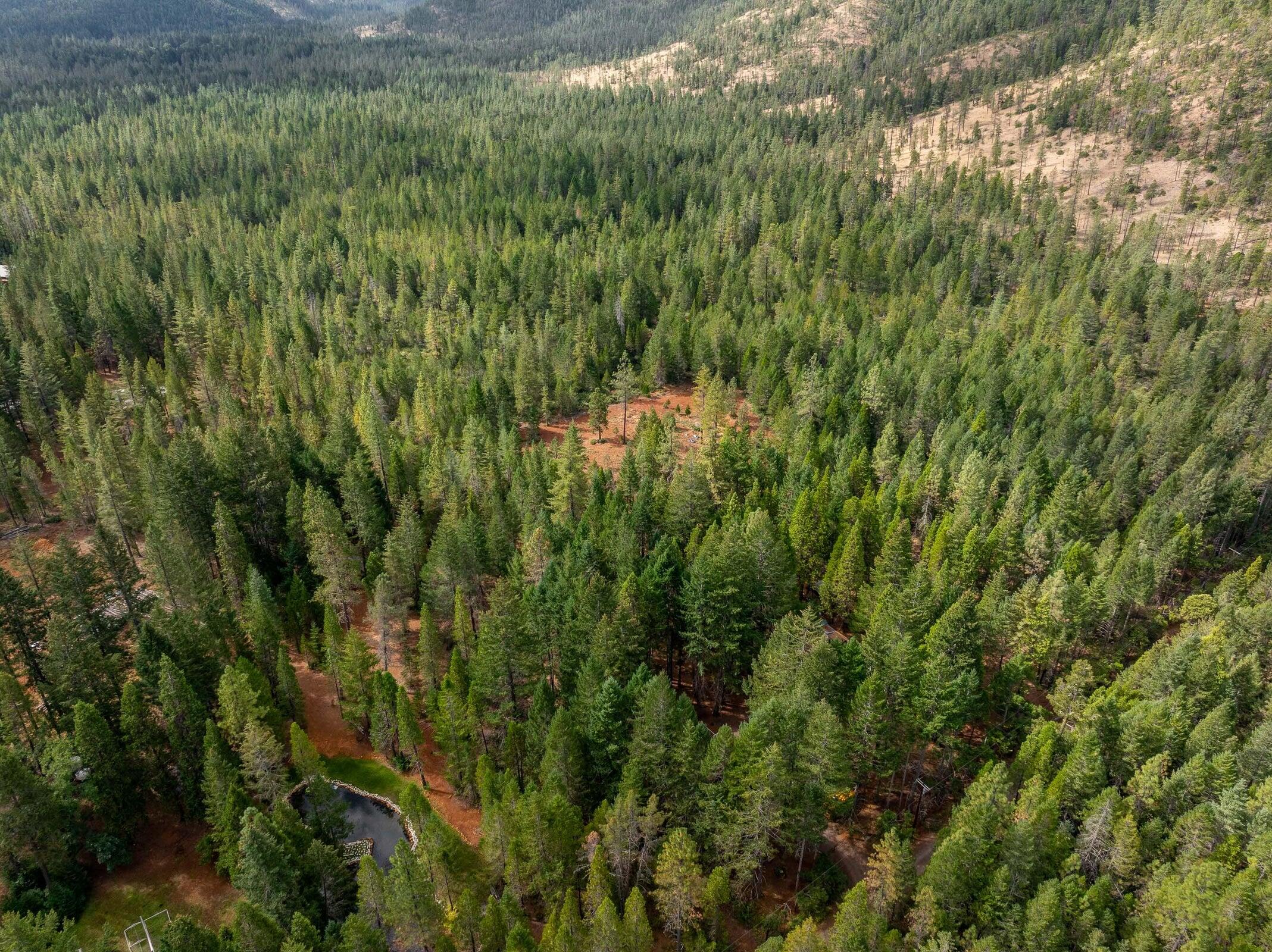 755 Rough And Ready Creek Road Cave Junction, OR 97523 - Photo 20 of 26 20240917175827991666000000-o