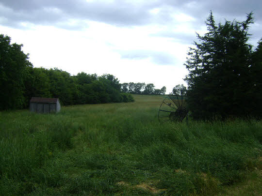 10142 South Center Road Durand, IL 61024 - Photo 6 of 11 a view of a backyard