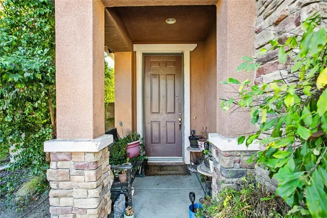 a potted plant sitting in front of a house