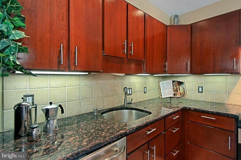 7101 Triad Way Springfield, VA 22151 - Photo 8 of 27 Kitchen #3