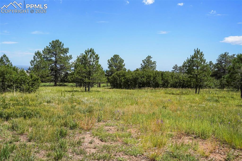325 Pine Oaks Road Colorado Springs, CO 80926 - Photo 12 of 16 a view of a garden