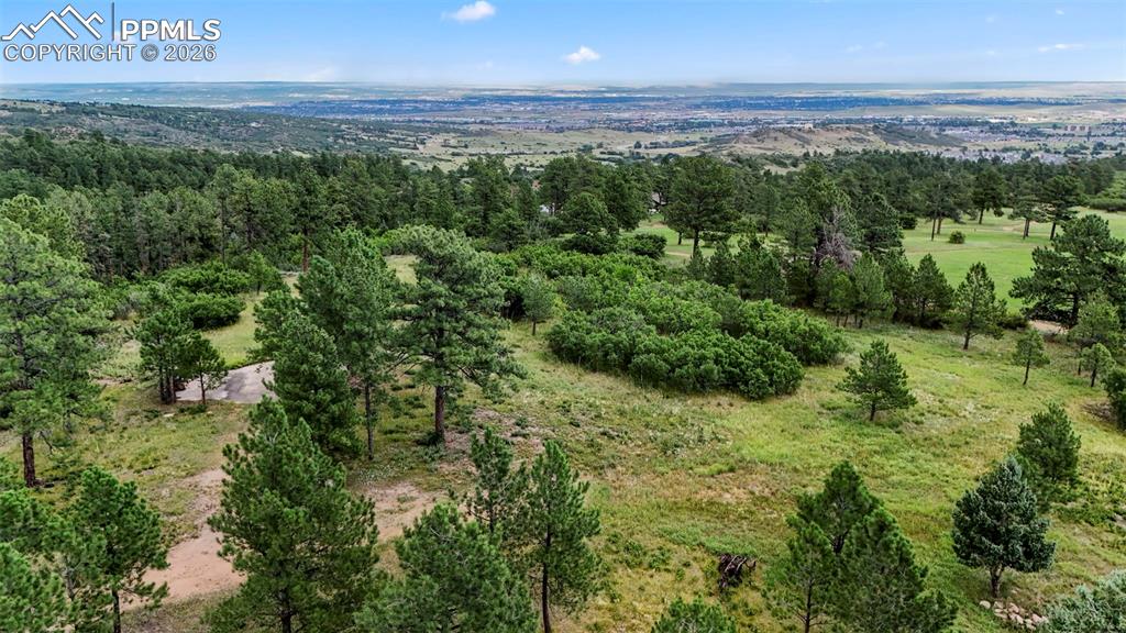 325 Pine Oaks Road Colorado Springs, CO 80926 - Photo 14 of 16 a view of a city with lush green forest