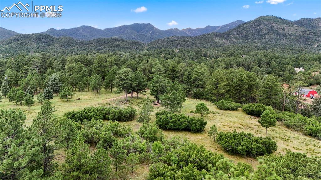 325 Pine Oaks Road Colorado Springs, CO 80926 - Photo 15 of 16 a view of a lush green hillside and a houses