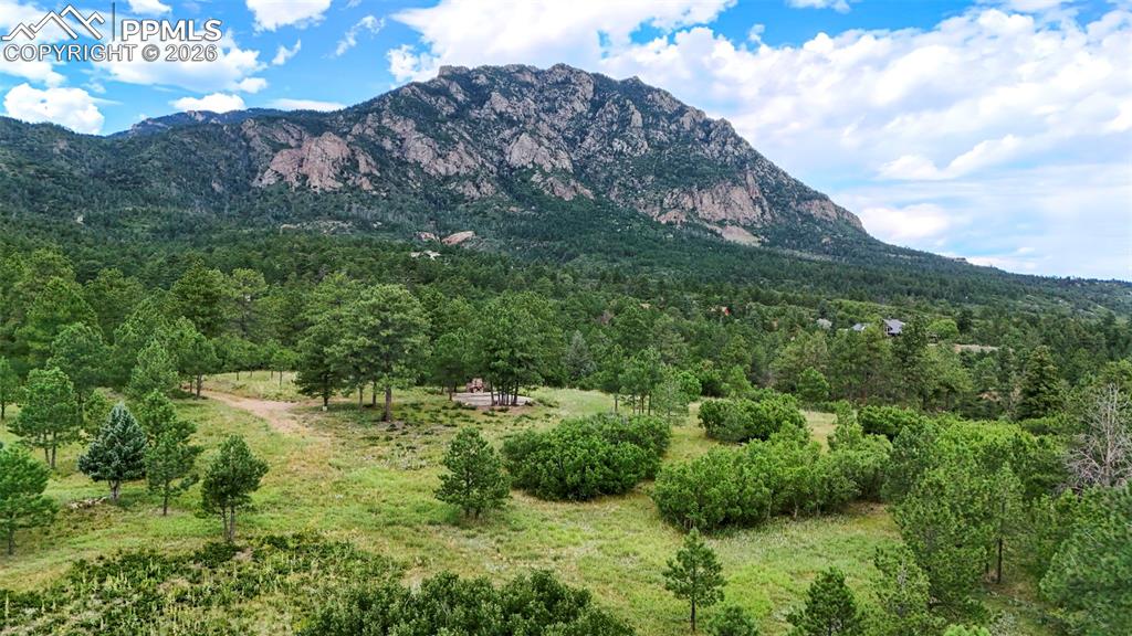 325 Pine Oaks Road Colorado Springs, CO 80926 - Photo 16 of 16 a view of a lush green forest with lots of trees