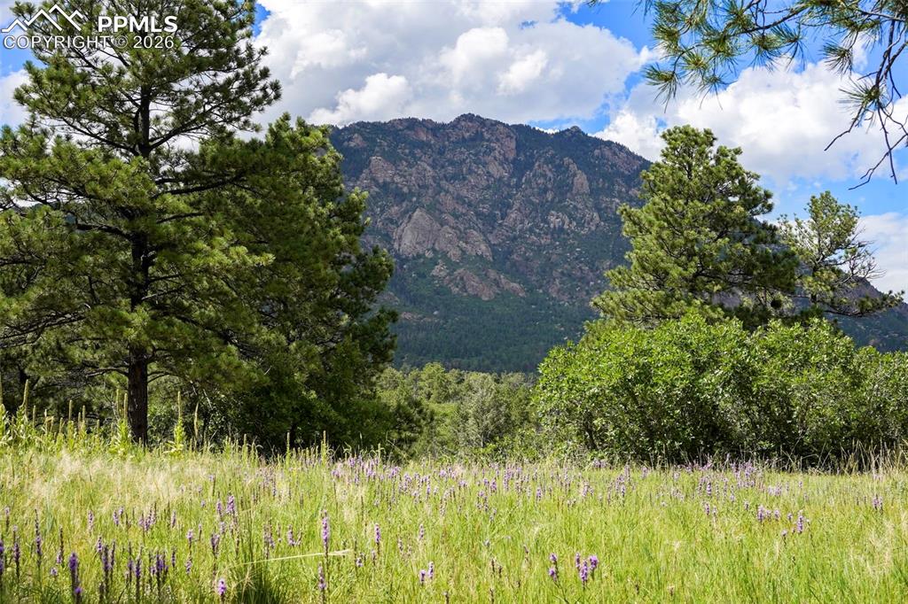 325 Pine Oaks Road Colorado Springs, CO 80926 - Photo 2 of 16