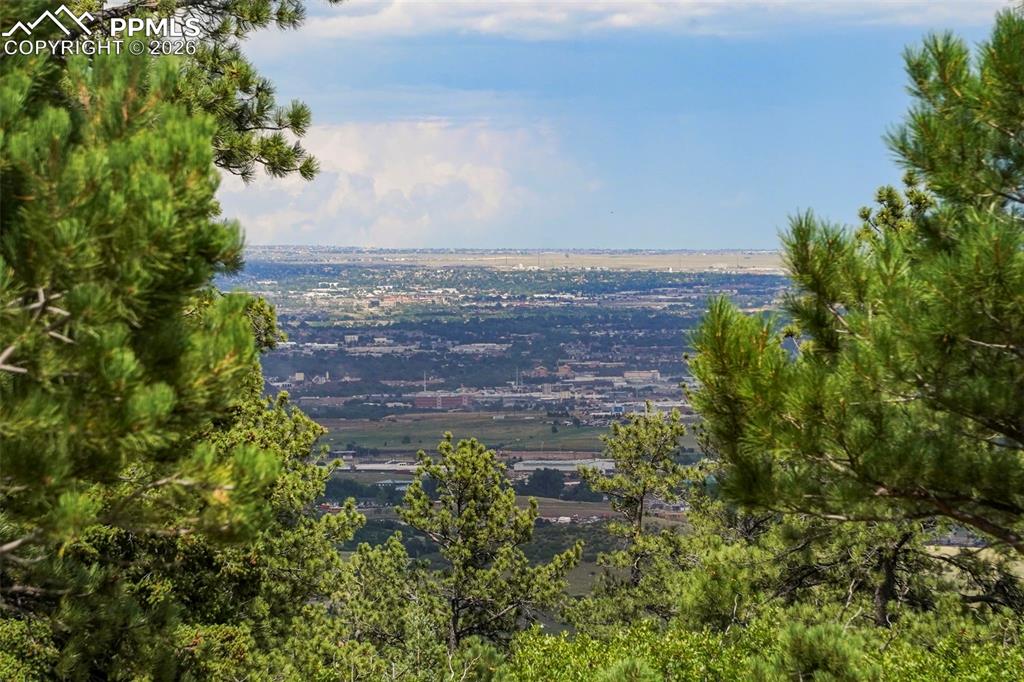 325 Pine Oaks Road Colorado Springs, CO 80926 - Photo 5 of 16 a view of a yard