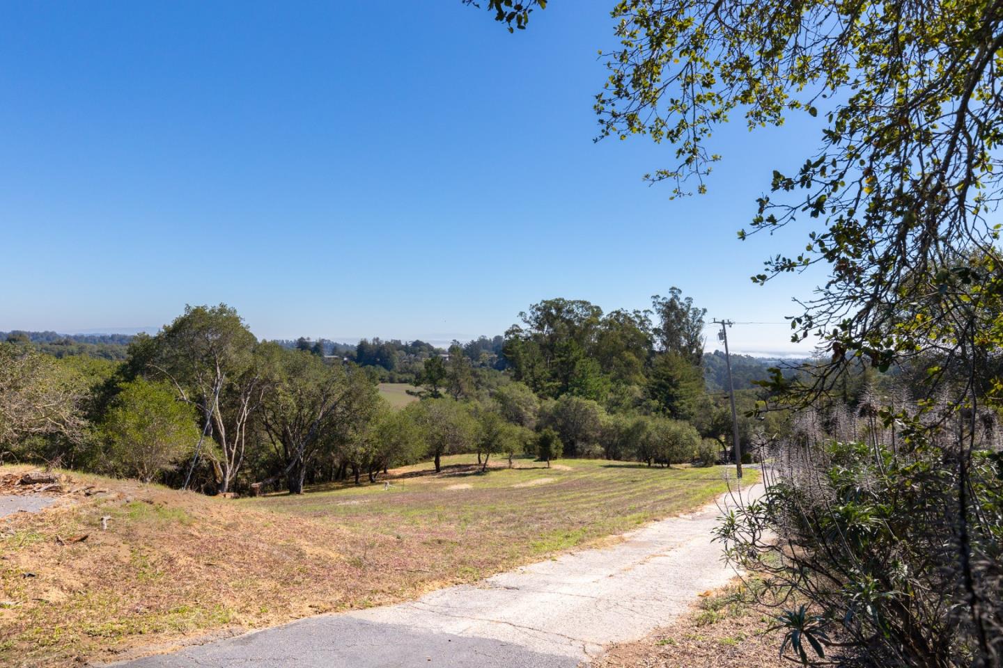 490 Amigo Road Soquel, CA 95073 - Photo 32 of 71 a view of a yard with a tree