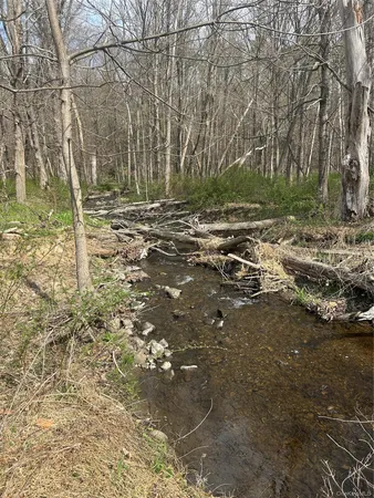 $90,000 | East Noxon Road, LaGrangeville, NY 12540