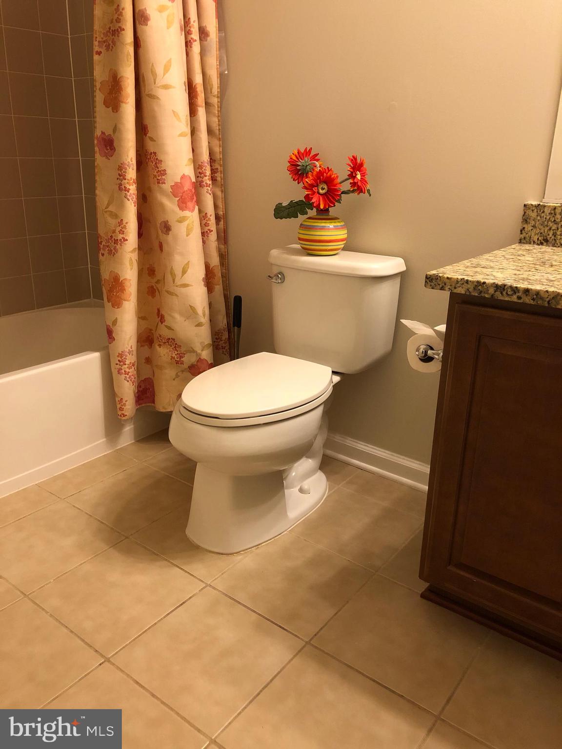 42797 Burrell Square Ashburn, VA 20147 - Photo 12 of 13 a bathroom with a toilet and a shower
