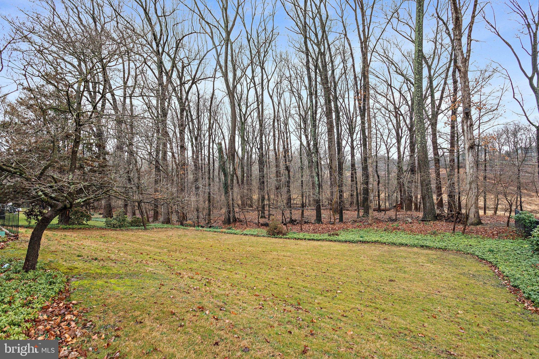 12405 St James Road Rockville, MD 20850 - Photo 86 of 95