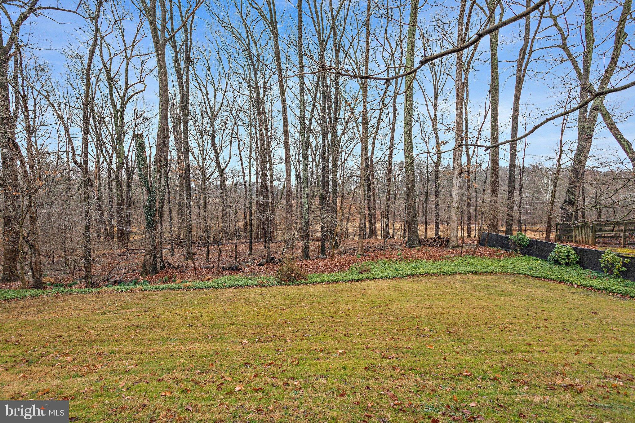 12405 St James Road Rockville, MD 20850 - Photo 88 of 95