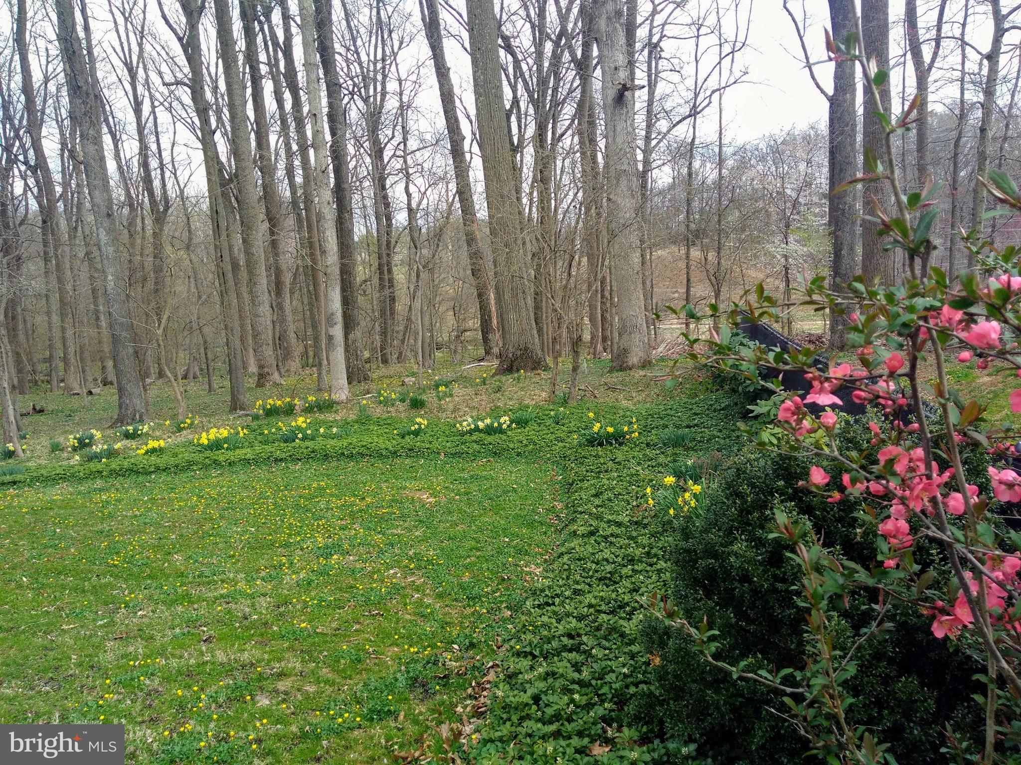 12405 St James Road Rockville, MD 20850 - Photo 90 of 95