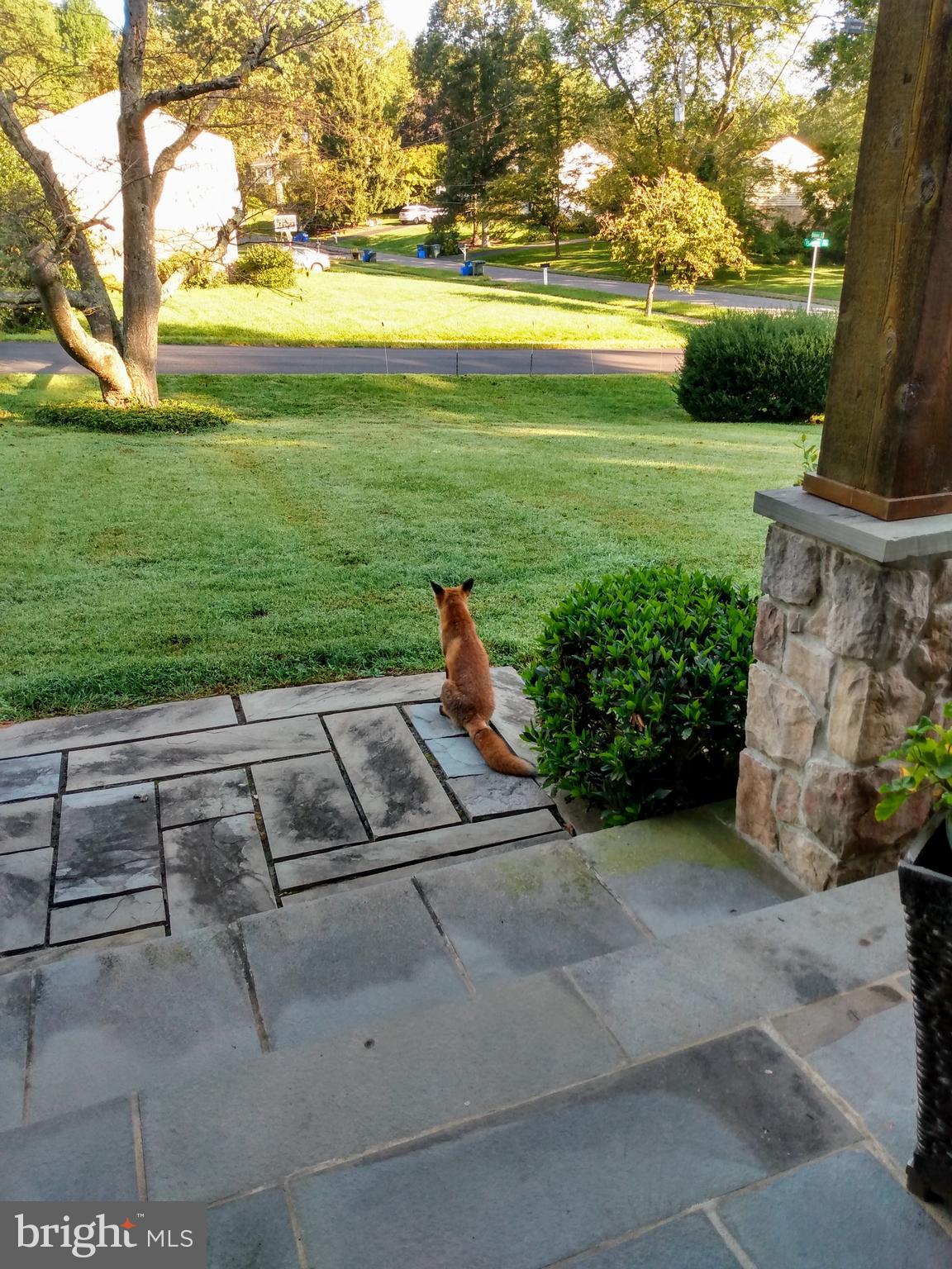 12405 St James Road Rockville, MD 20850 - Photo 92 of 95