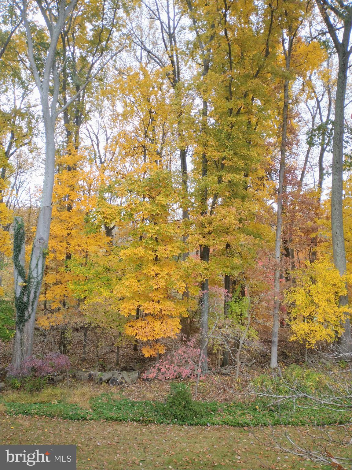 12405 St James Road Rockville, MD 20850 - Photo 93 of 95