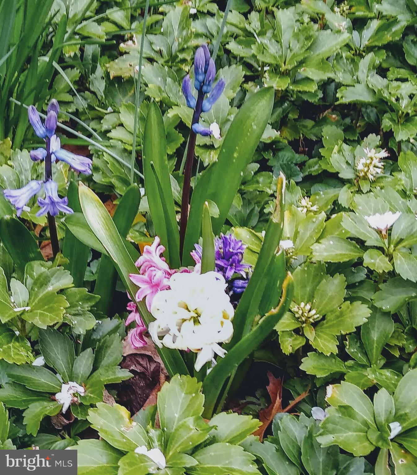 12405 St James Road Rockville, MD 20850 - Photo 94 of 95