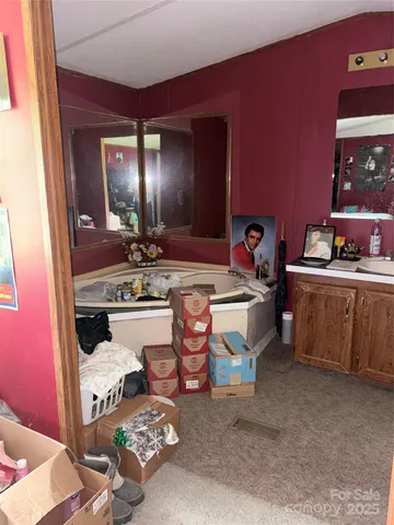 a bathroom with a sink a vanity and mirror