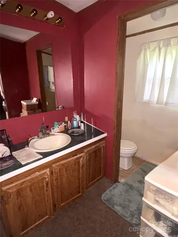 a bathroom with a sink a toilet a mirror and vanity