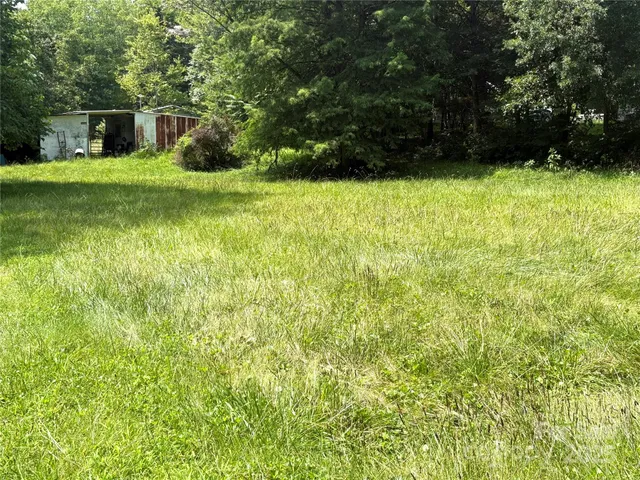 a view of a backyard with plants and large trees