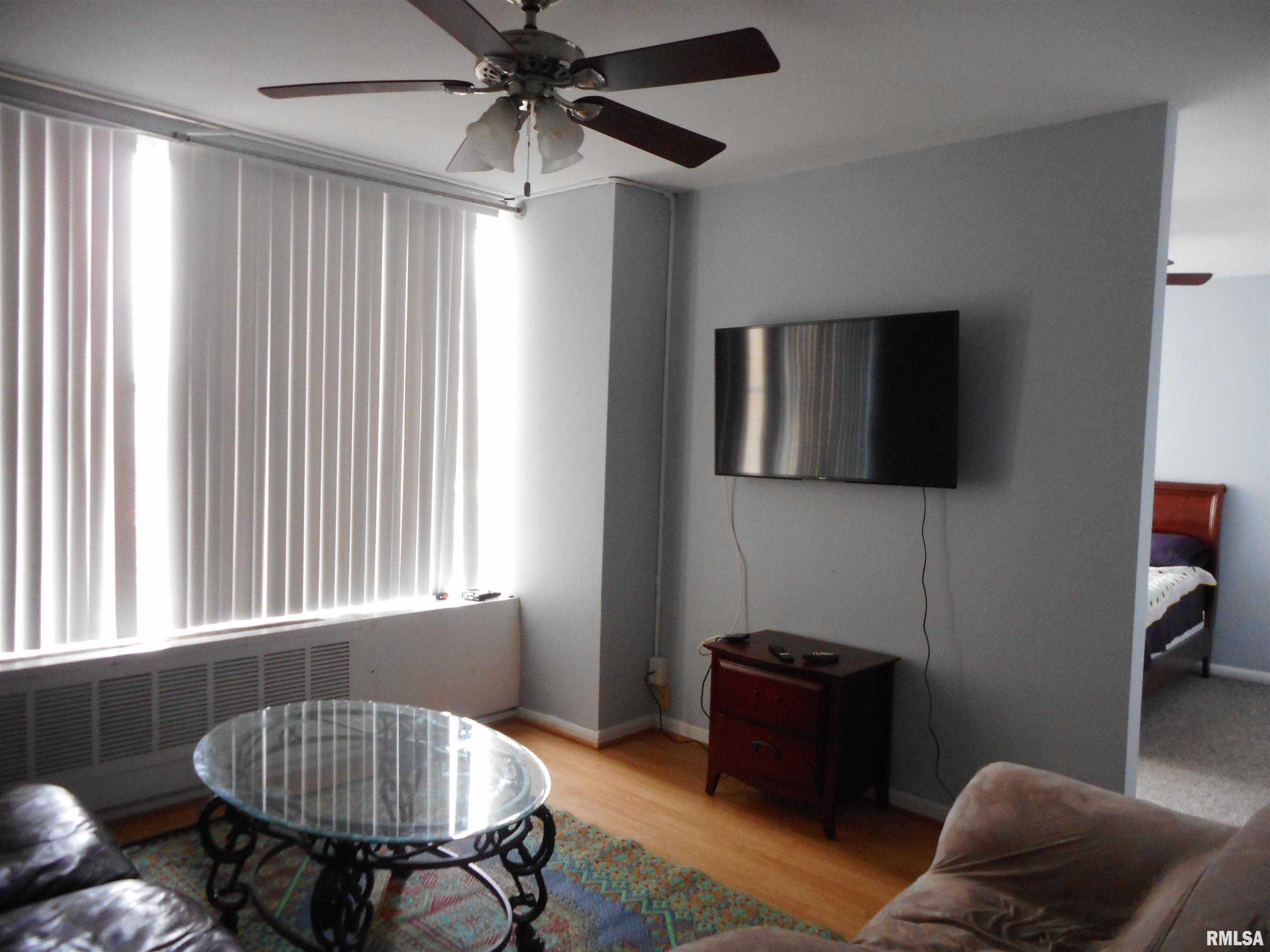 718 South 7th Street, Unit 201 Springfield, IL 62703 - Photo 5 of 9