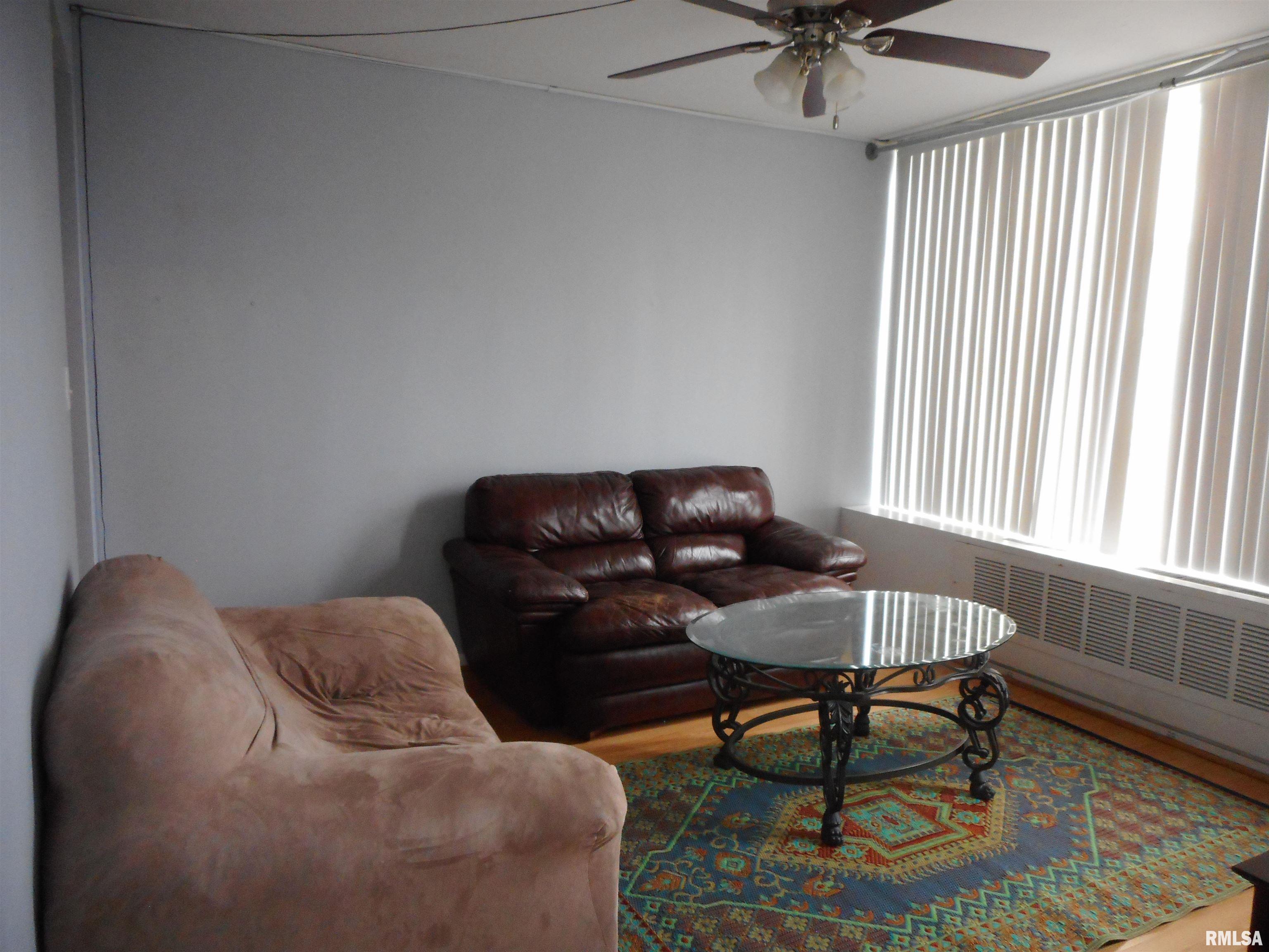718 South 7th Street, Unit 201 Springfield, IL 62703 - Photo 7 of 9