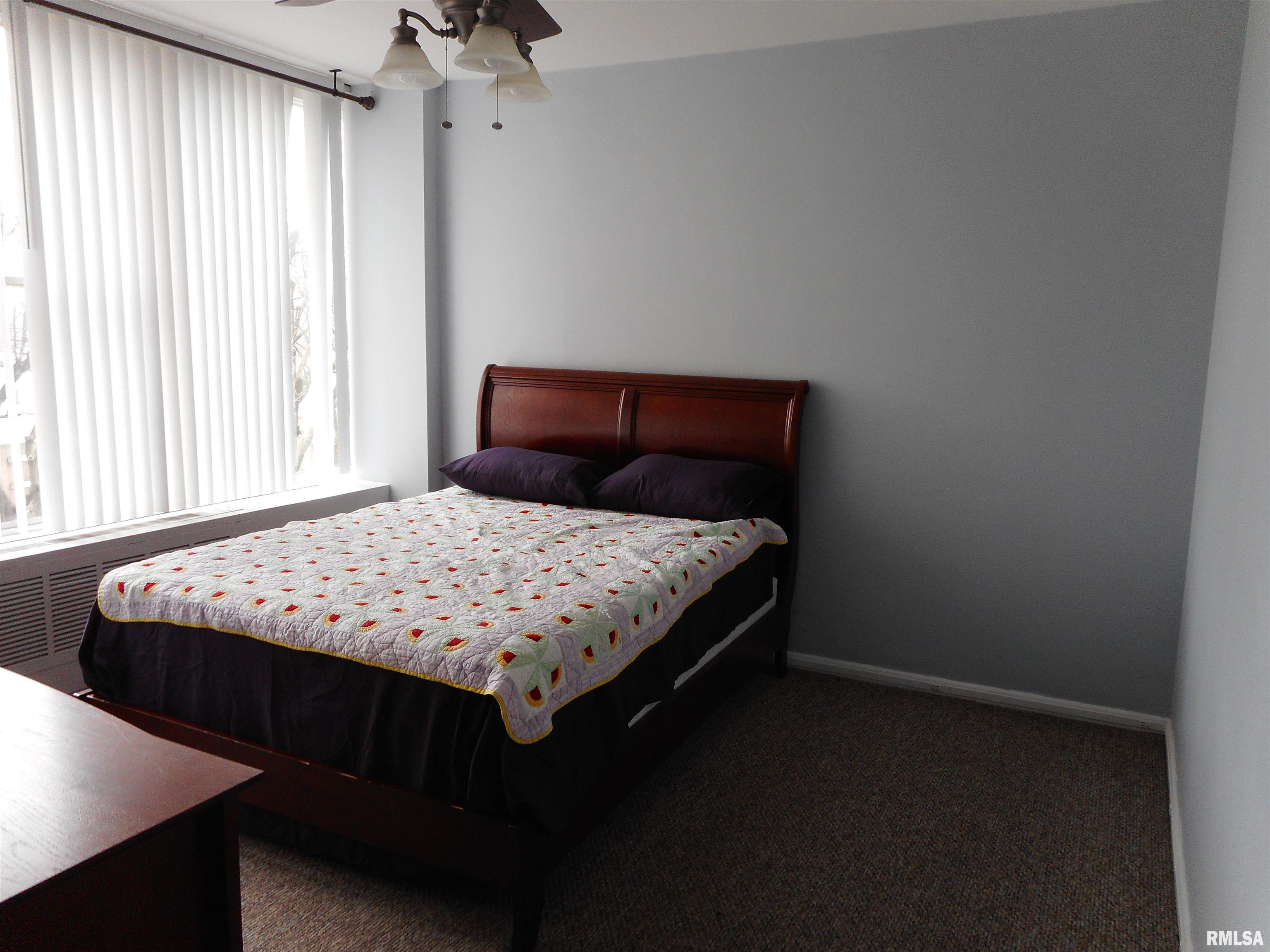 718 South 7th Street, Unit 201 Springfield, IL 62703 - Photo 8 of 9