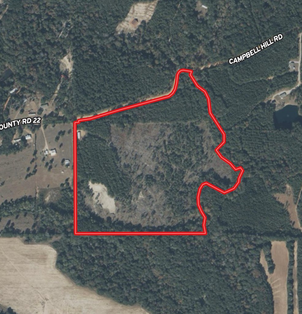 2326 Campbell Hill Road Chancellor, AL 36316 - Photo 10 of 33