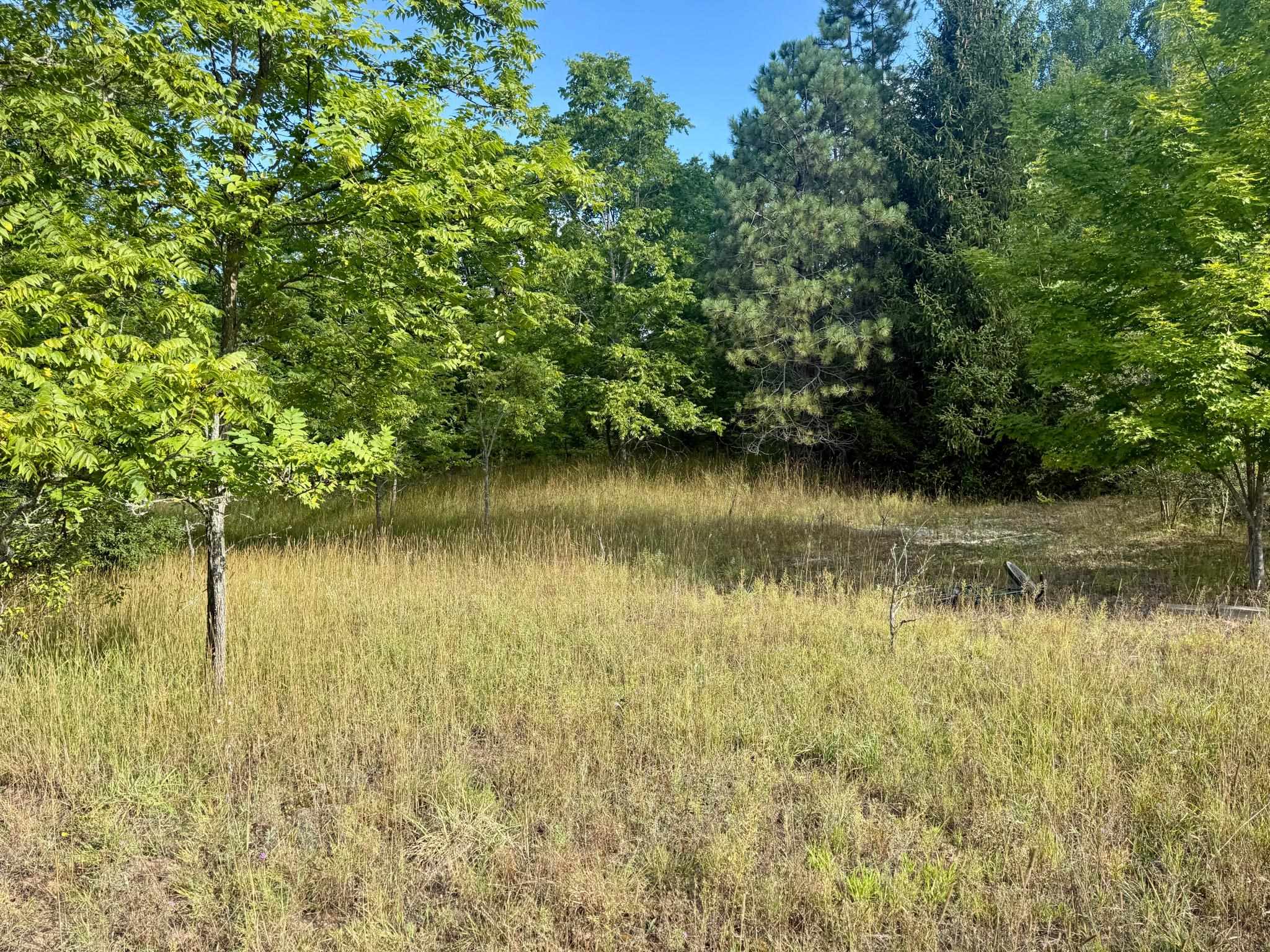 1 East Darga Road Cedar, MI 49621 - Photo 17 of 22 1949892-9ded27c1-0c6c-4c10-b8f9-10e9658f5d20.JPG