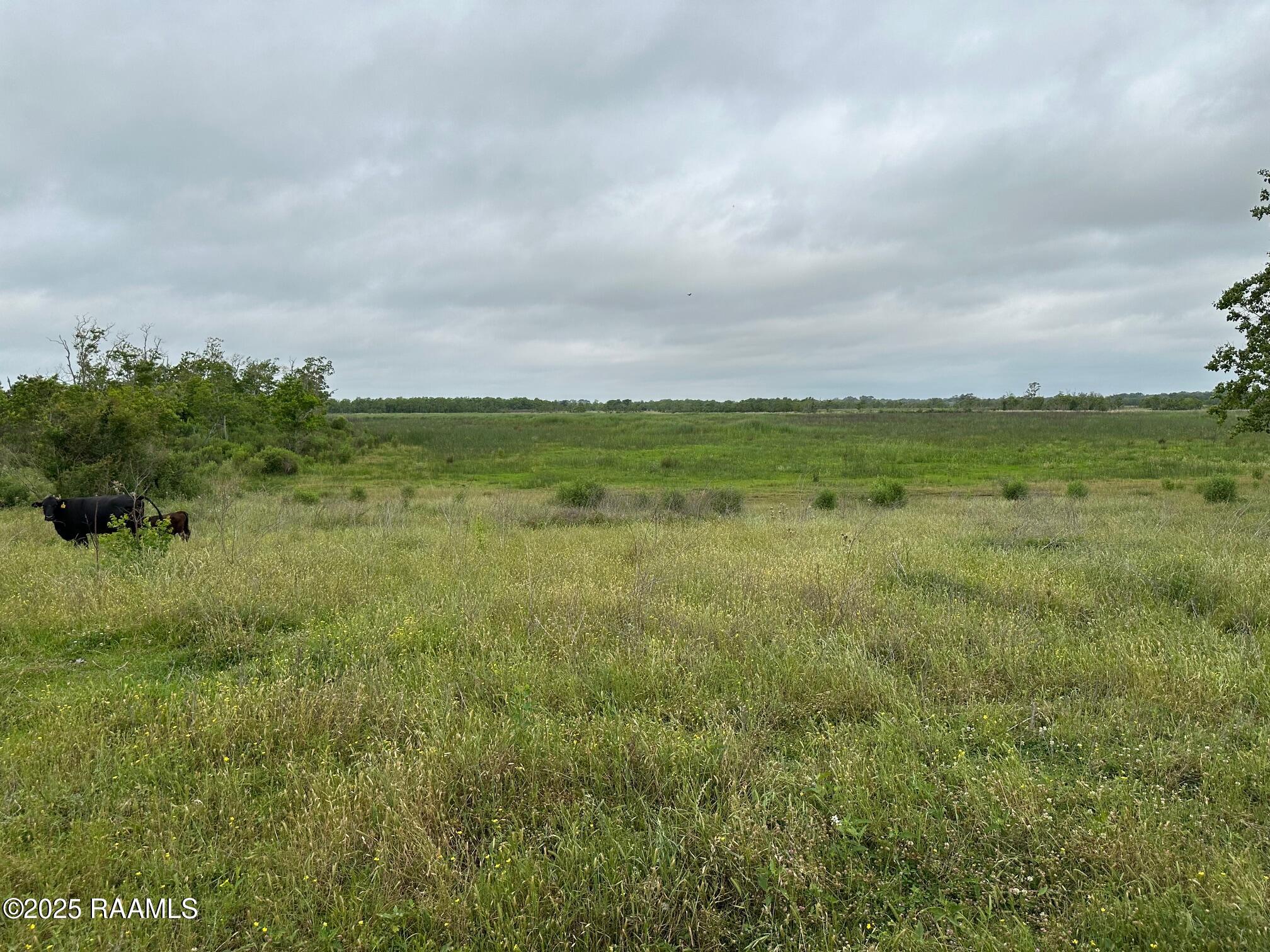 Boyance Road Erath, LA 70533 - Photo 12 of 18 IMG_2599