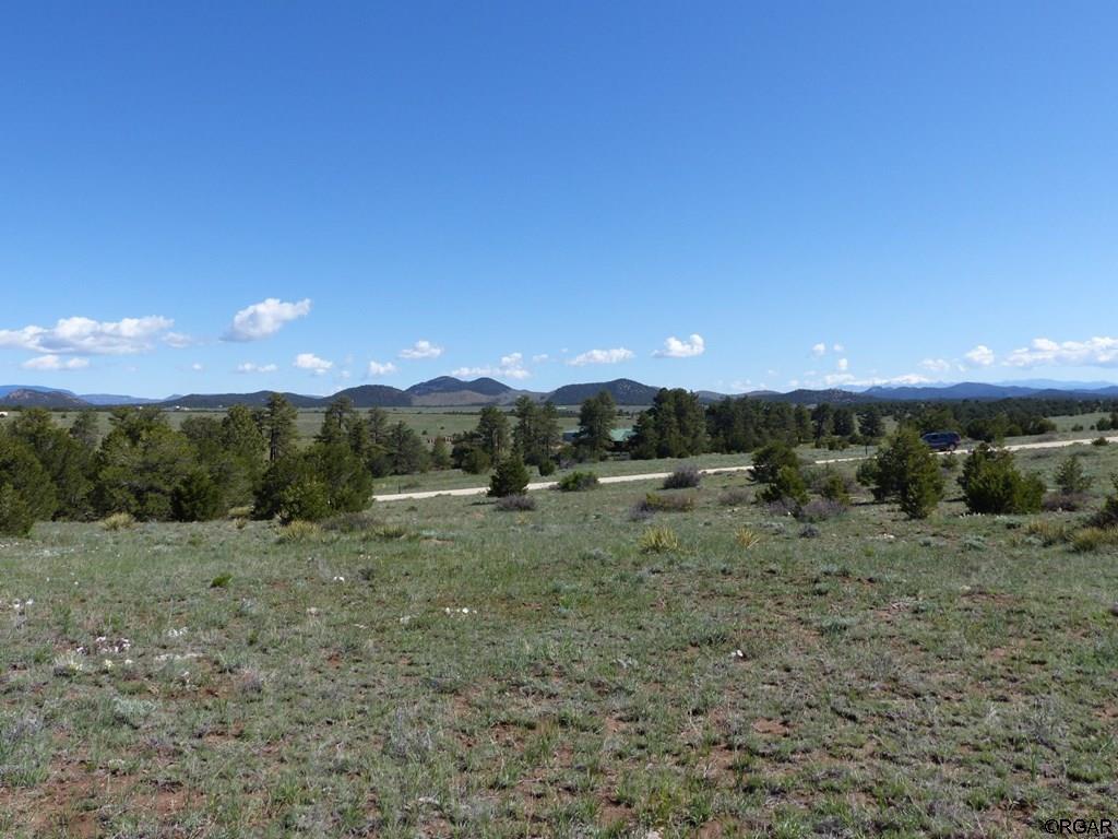 L45 Roundup Road Westcliffe, CO 81252 - Photo 3 of 25 Gallery Image 3