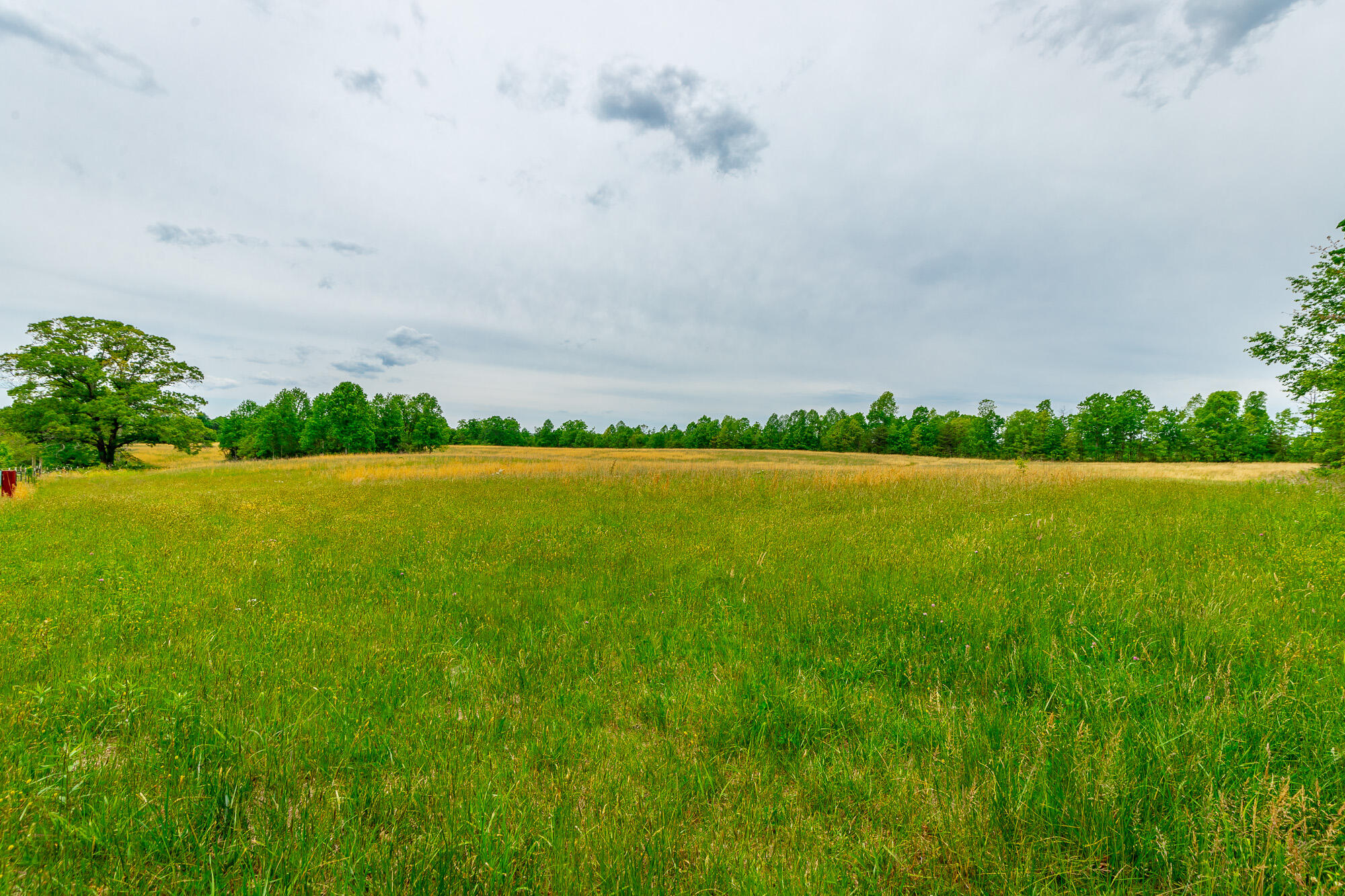 0 Ray Gadd Road Graysville, TN 37338 - Photo 2 of 109 Ray Gadd Road Lot HD