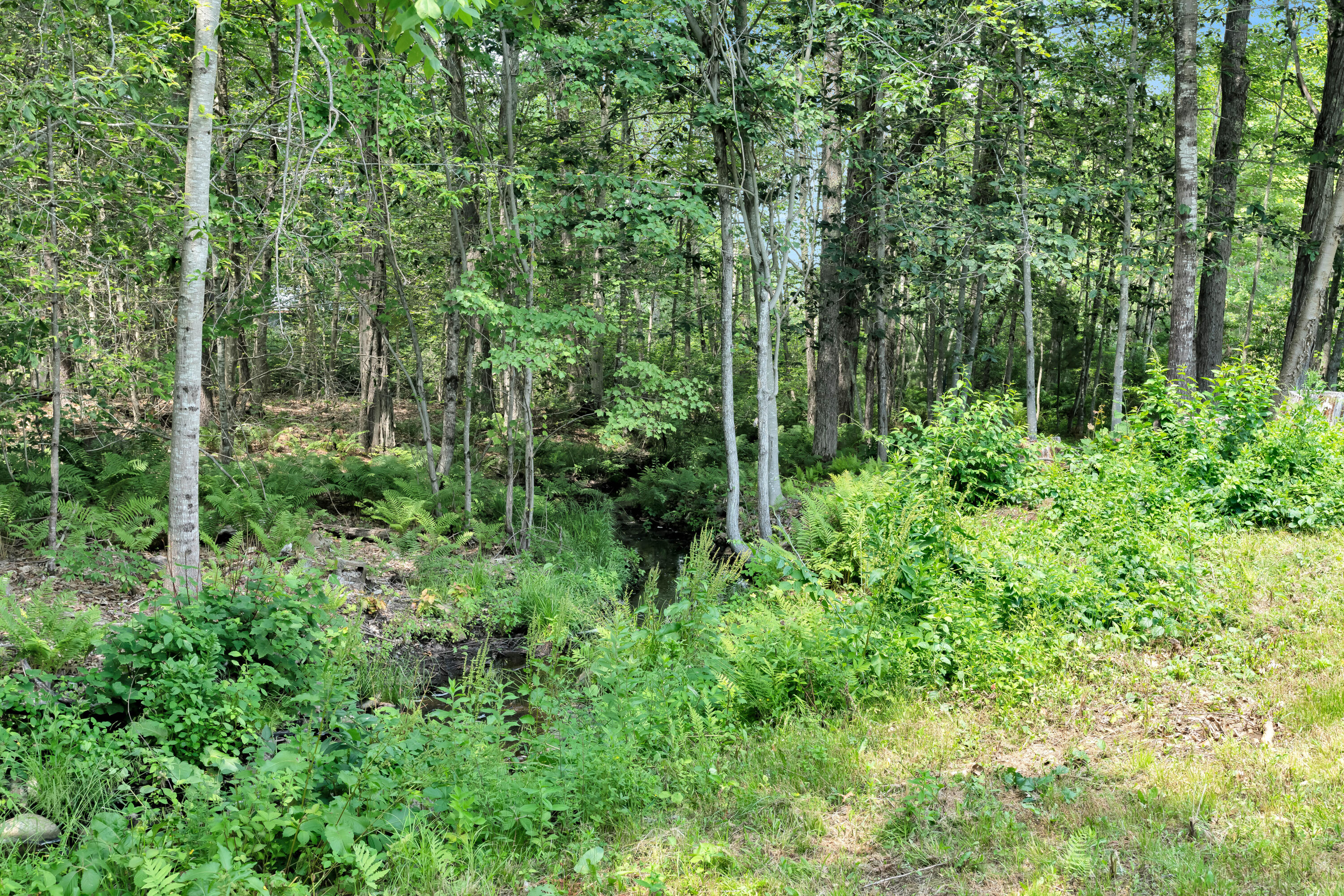 110 Oak Hill Road Standish, ME 04084 - Photo 37 of 37 _DSC6098