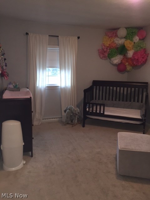 7328 Case Road North Ridgeville, OH 44039 - Photo 18 of 26