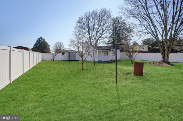 a view of a garden with a tree