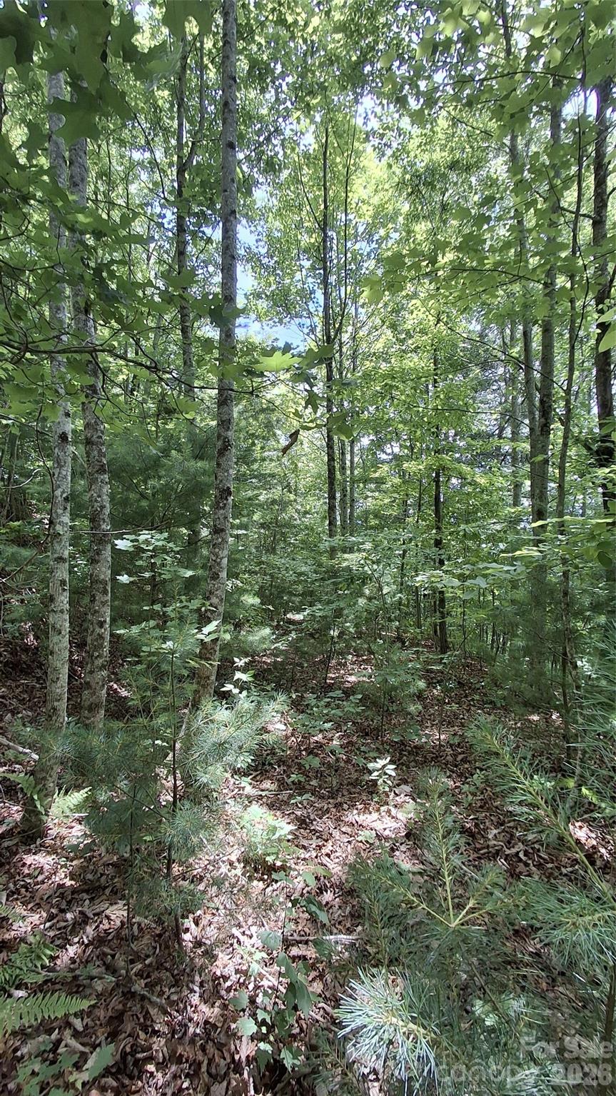 112 Kako Ridge, Unit 59 Sylva, NC 28779 - Photo 9 of 18