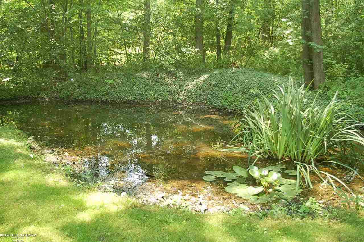 3411 North Road North Street, MI 48049 - Photo 11 of 38 Gallery Image 11