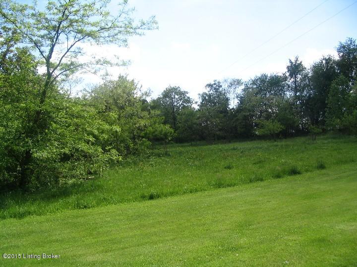 0 West Prong Locust Road Milton, KY 40045 - Photo 1 of 1 Pyles 33.3 acres