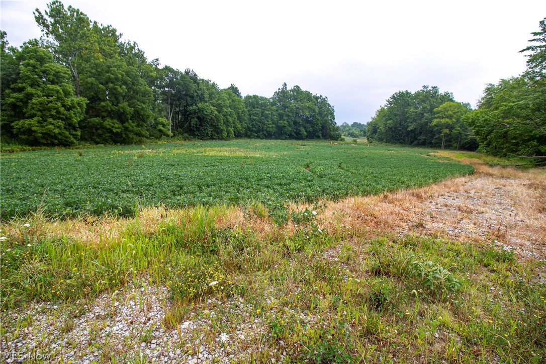 Beck Road Medina, OH 44256 - Photo 4 of 19 Gallery Image 4