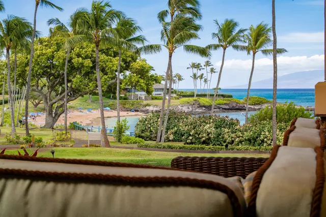 a view of a swimming pool with a garden