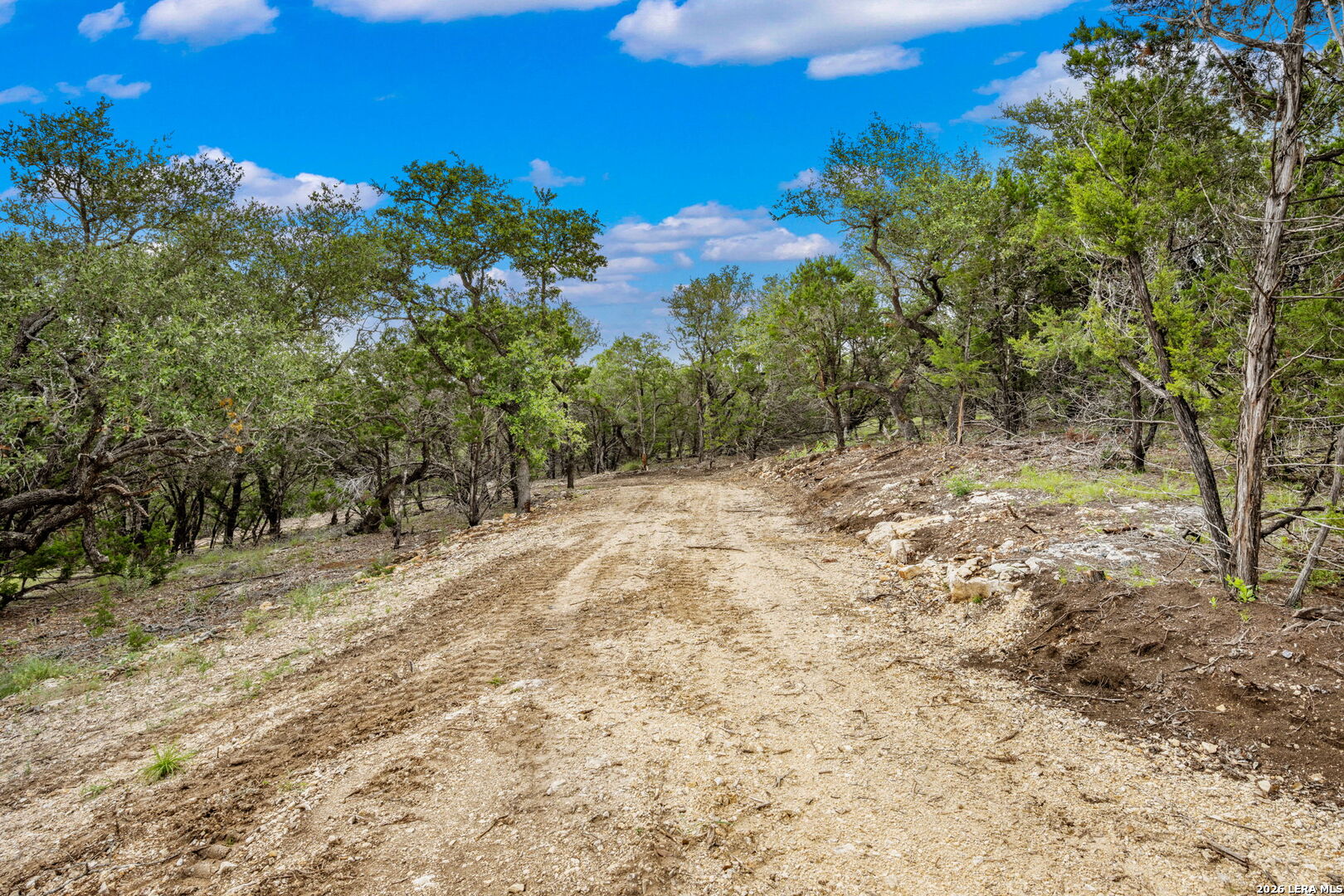 335 Shepherds Ranch Bulverde, TX 78163 - Photo 6 of 11