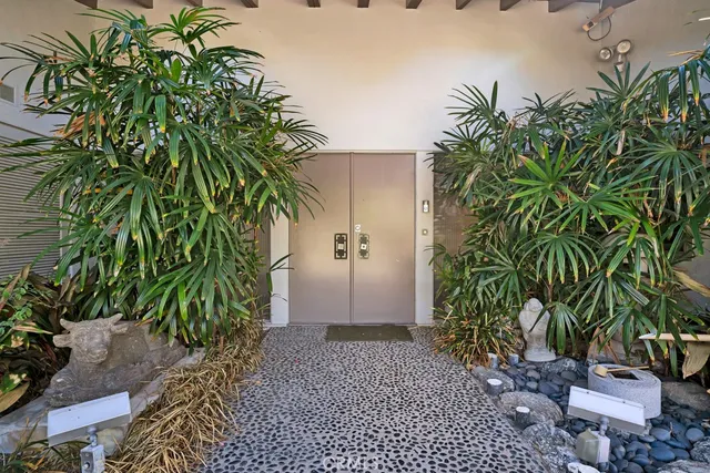 a view of a garden with plants