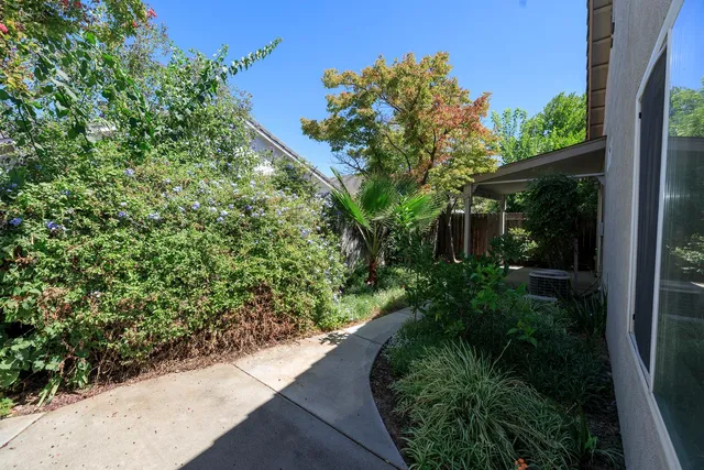 a view of a garden with plants