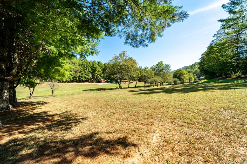 867 Kilby Road Murphy, NC 28906 - Photo 6 of 44