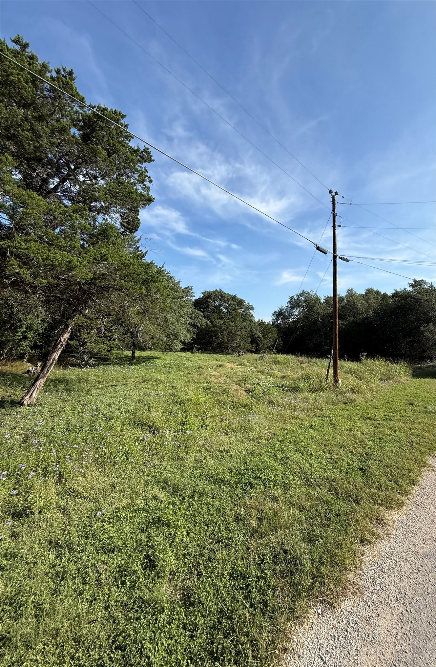 266 Indian Canyon Spring Branch, TX 78070 - Photo 3 of 3 Mature trees frame a grassy property under wide blue skies.