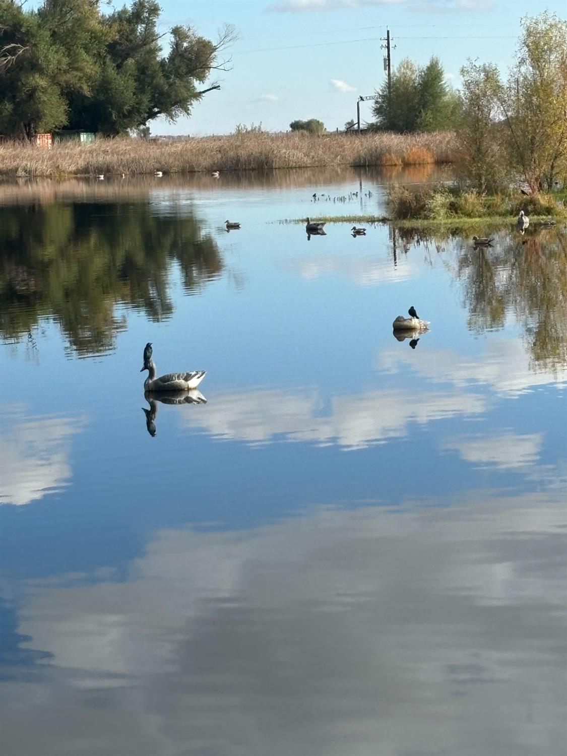 0 Norman Road Willows, CA 95988 - Photo 12 of 15