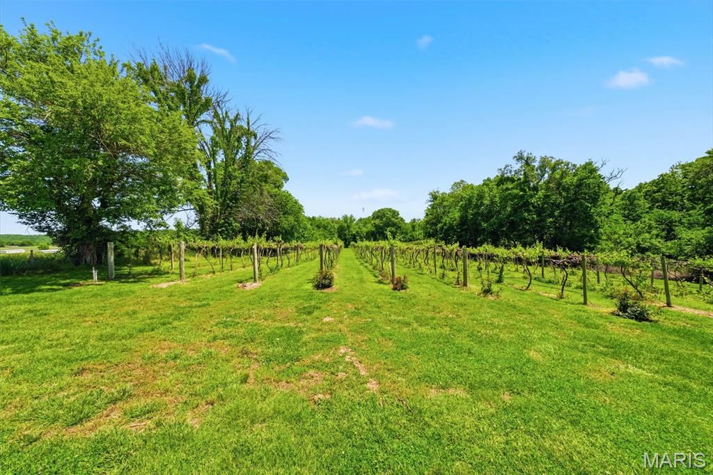 15088 Boone Monument Road Marthasville, MO 63357 - Photo 66 of 81