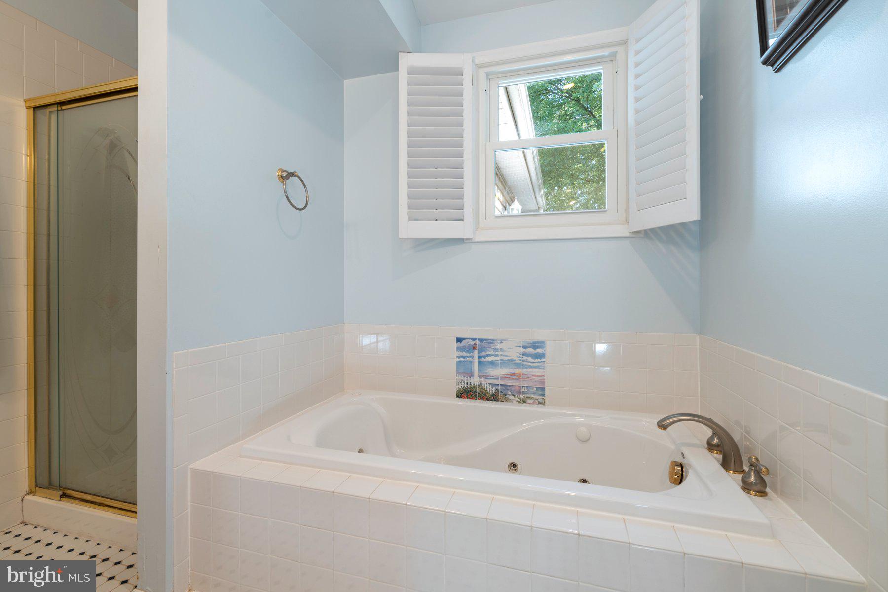 6150 Hunt Club Road Elkridge, MD 21075 - Photo 18 of 35 En suite Soaker tub