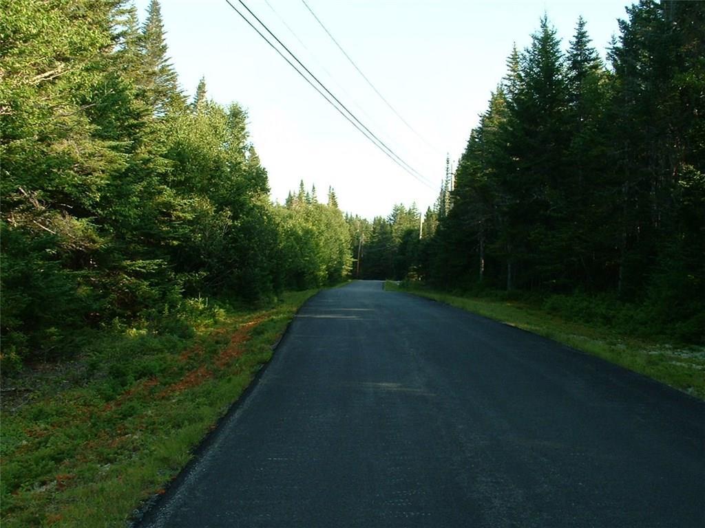 Lot 39 Yoho Head Road Machiasport, ME 04655 - Photo 11 of 15 Yoho Head Road