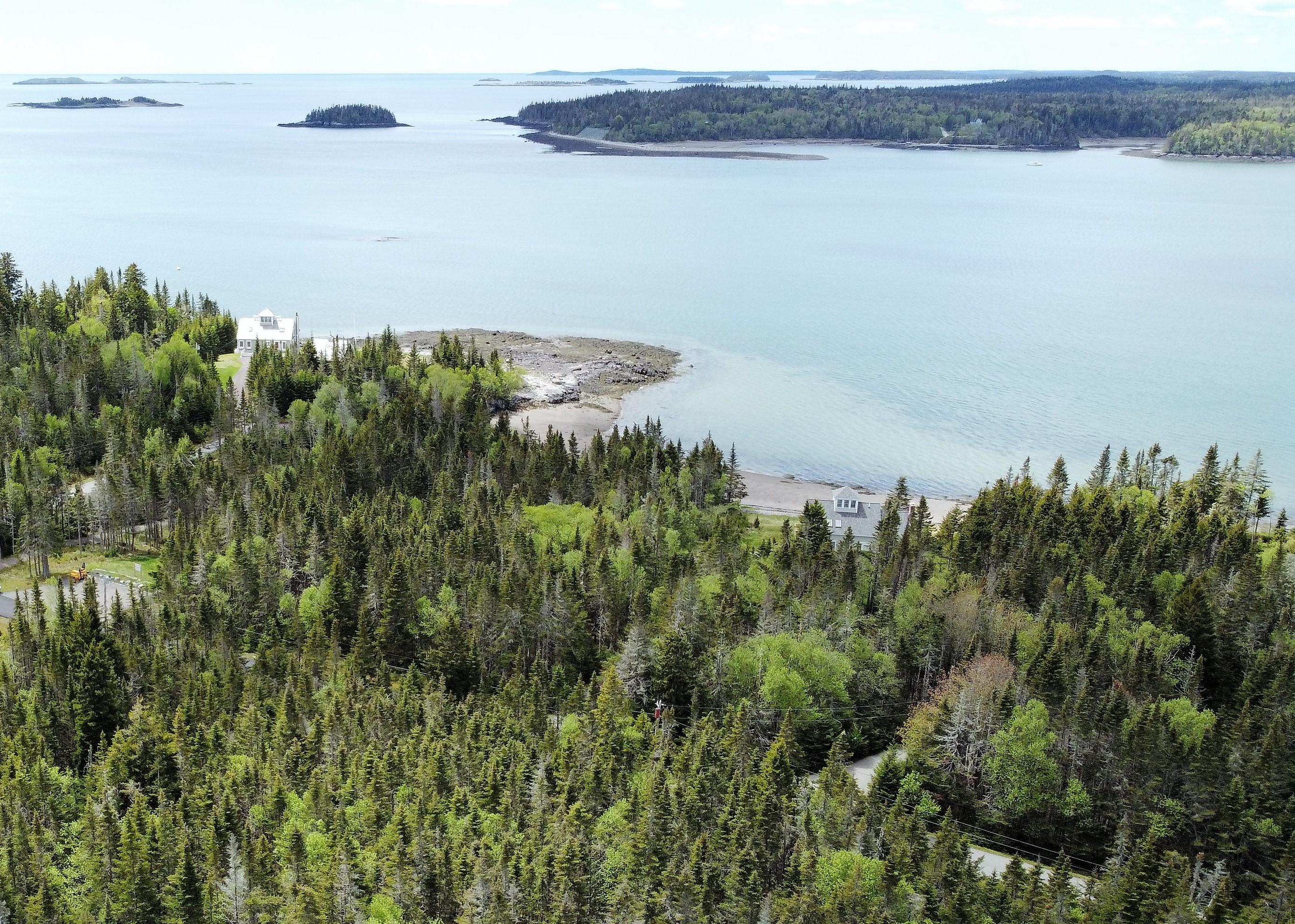 Lot 39 Yoho Head Road Machiasport, ME 04655 - Photo 2 of 15 View of Lot & Nearby Ocean